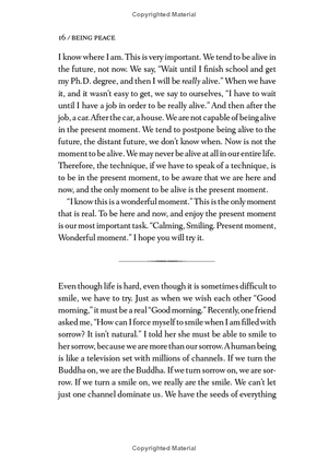 being peace - Ảnh 9