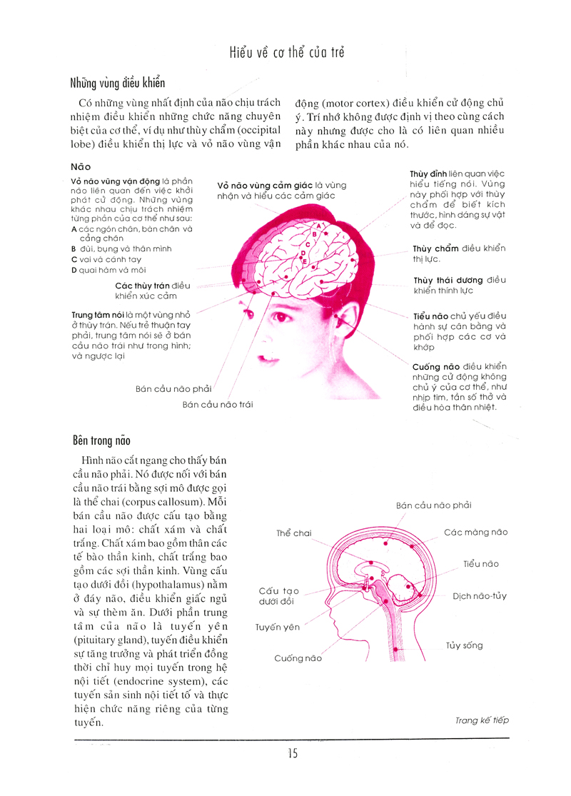 bên con khi con đau bệnh - Ảnh 10