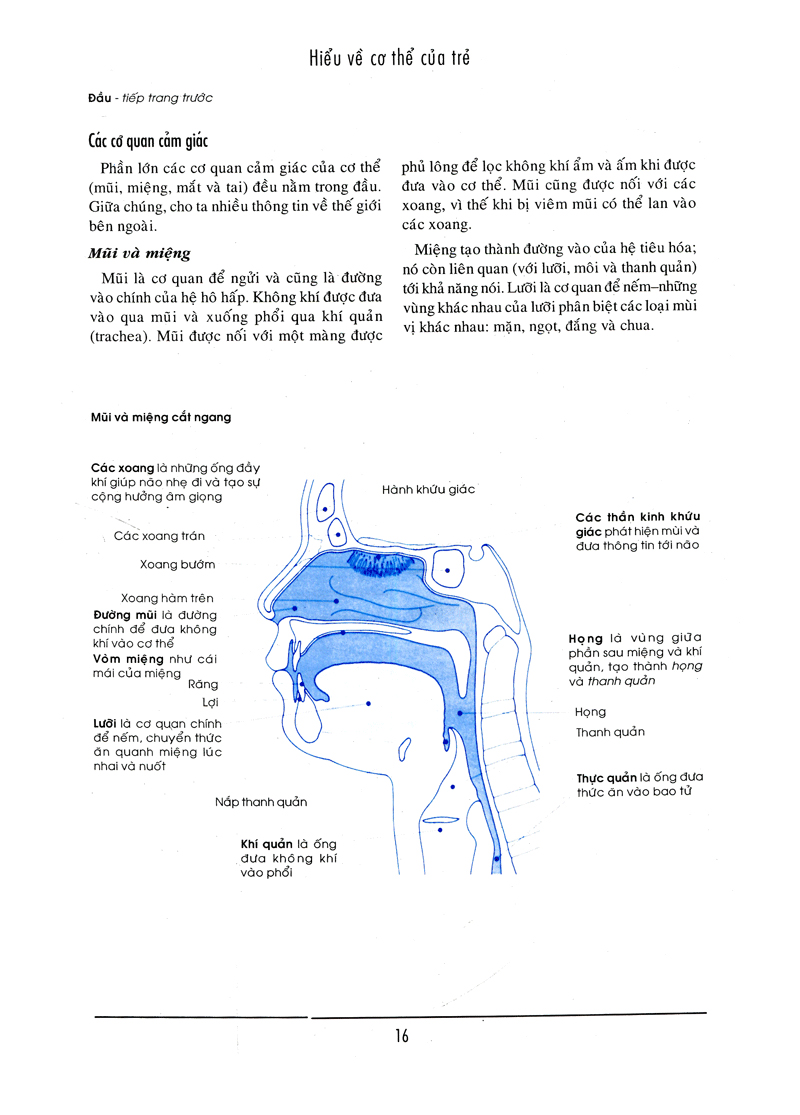 bên con khi con đau bệnh - Ảnh 11