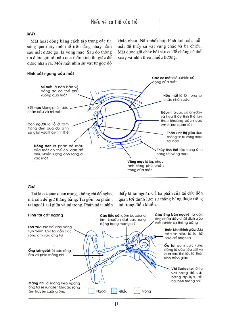 bên con khi con đau bệnh - Ảnh 12