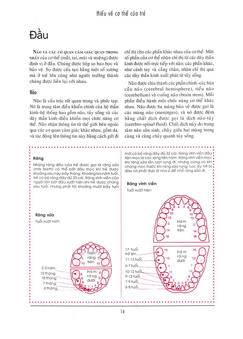 bên con khi con đau bệnh - Ảnh 9
