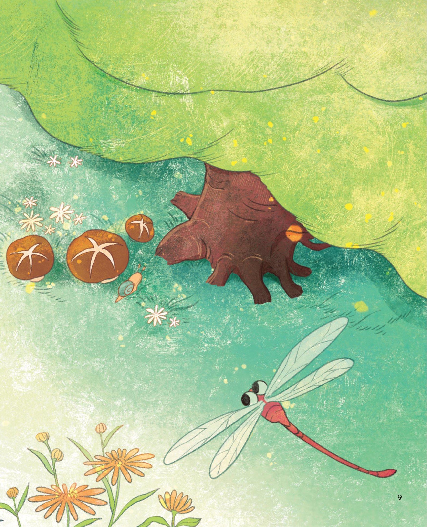 bên cửa ngắm xuân - Ảnh 14