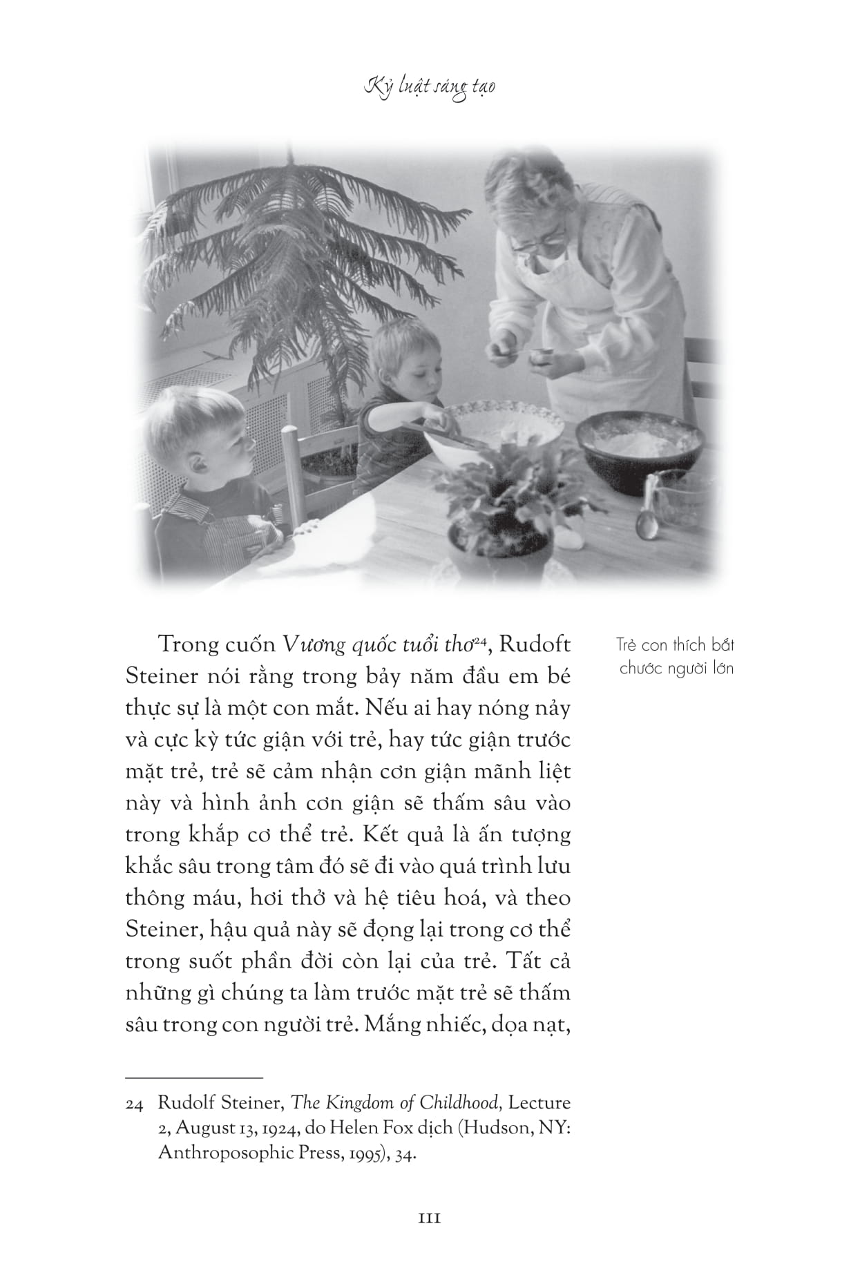 bên kia cầu vồng - nuôi dưỡng đứa trẻ từ sơ sinh đến bảy tuổi - beyond the rainbow bridge - Ảnh 12