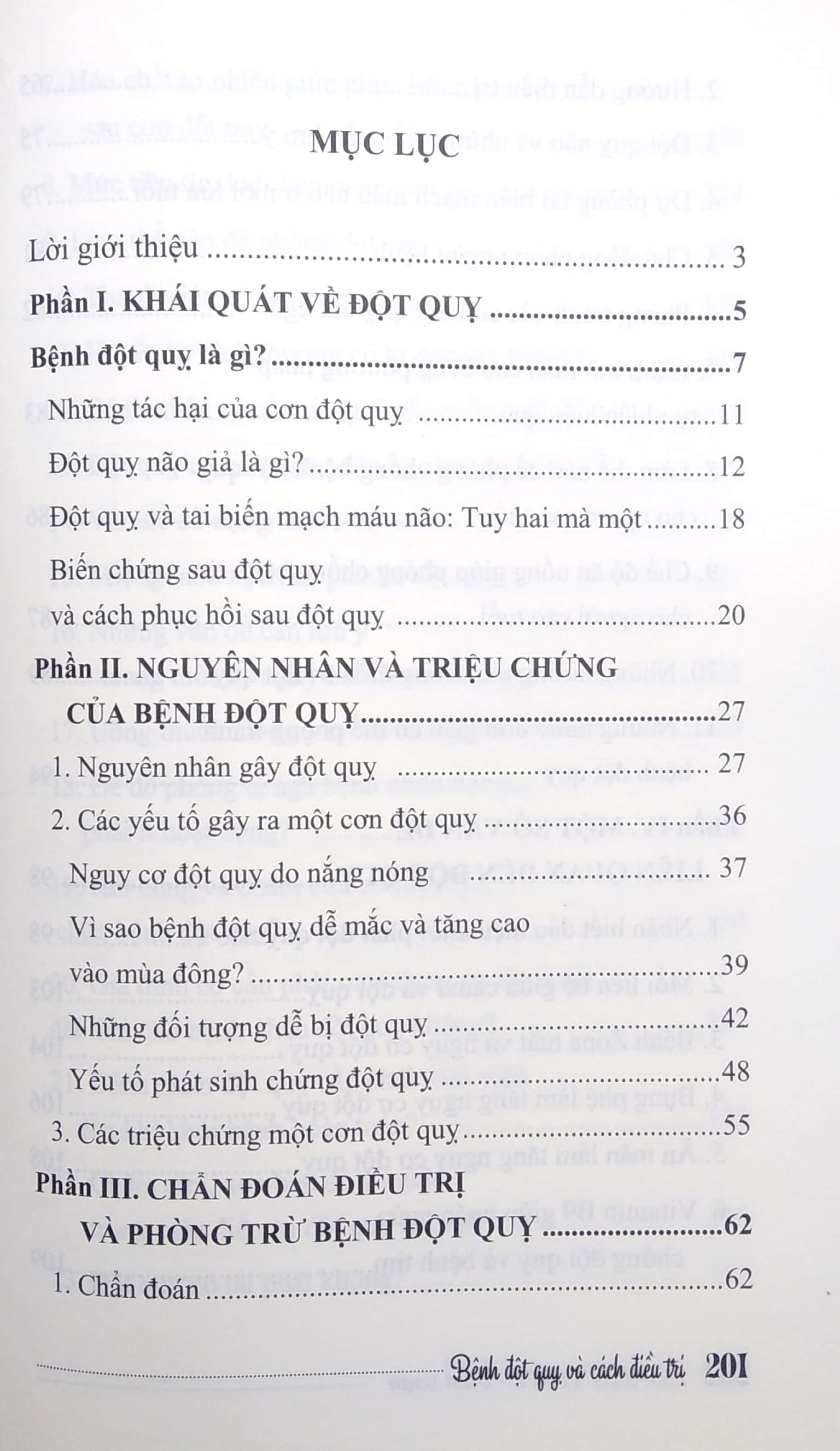 bệnh đột quỵ và cách điều trị - Ảnh 3