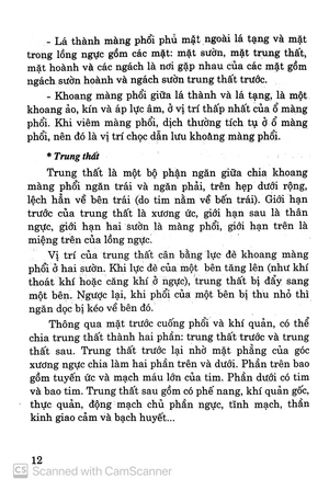 bệnh hô hấp - cây thuốc vị thuốc phòng và chữa bệnh - Ảnh 11