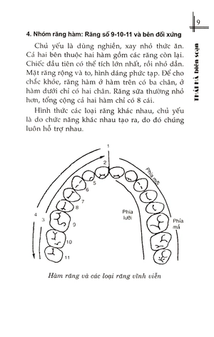 bệnh răng miệng và thực đơn phòng chữa trị - Ảnh 10