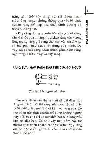 bệnh răng miệng và thực đơn phòng chữa trị - Ảnh 12