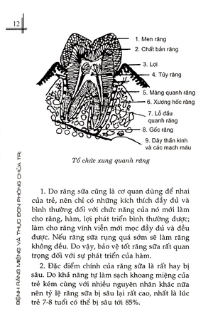 bệnh răng miệng và thực đơn phòng chữa trị - Ảnh 13
