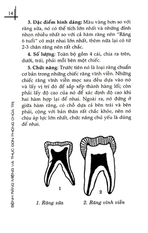 bệnh răng miệng và thực đơn phòng chữa trị - Ảnh 15