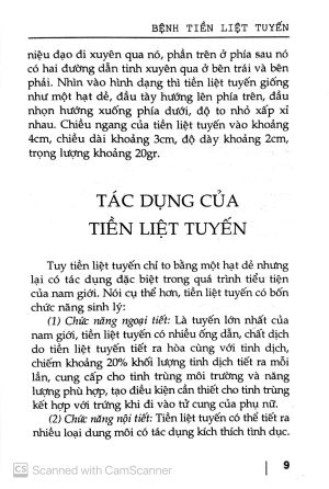 bệnh tiền liệt tuyến giải pháp dự phòng và điều trị bệnh - Ảnh 7