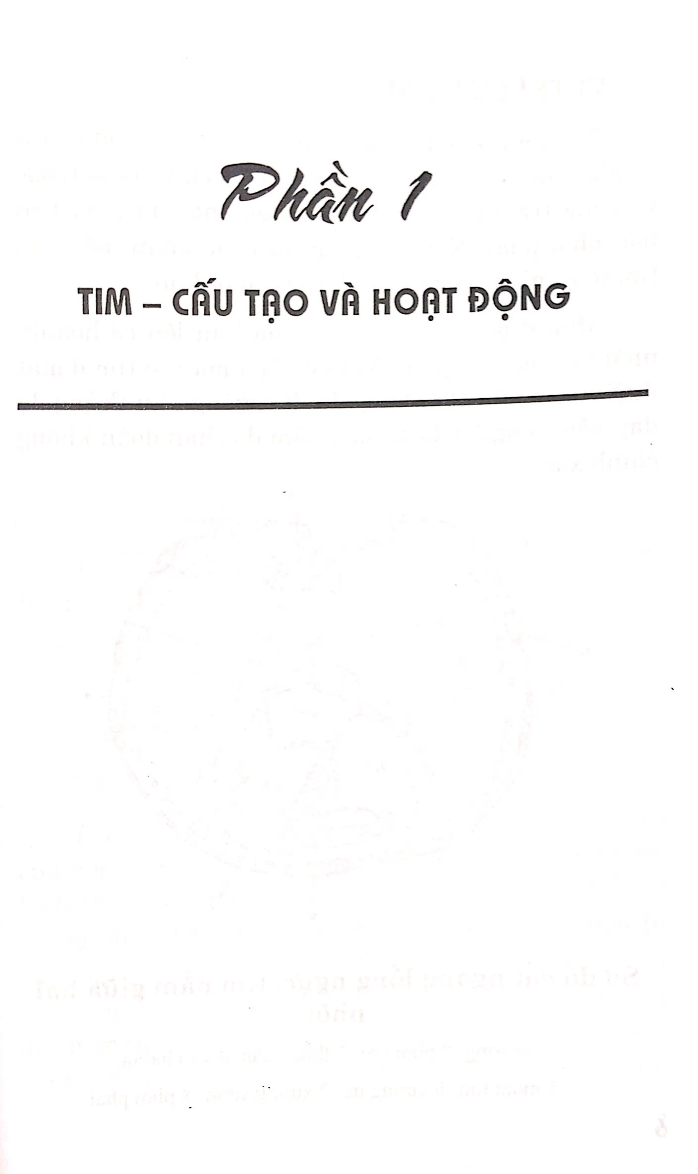 bệnh tim - chế độ dinh dưỡng và tập luyện - Ảnh 4