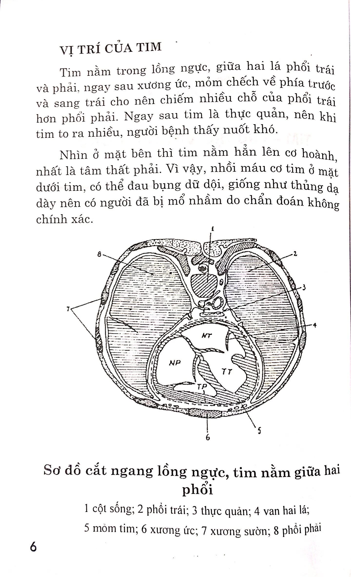 bệnh tim - chế độ dinh dưỡng và tập luyện - Ảnh 5