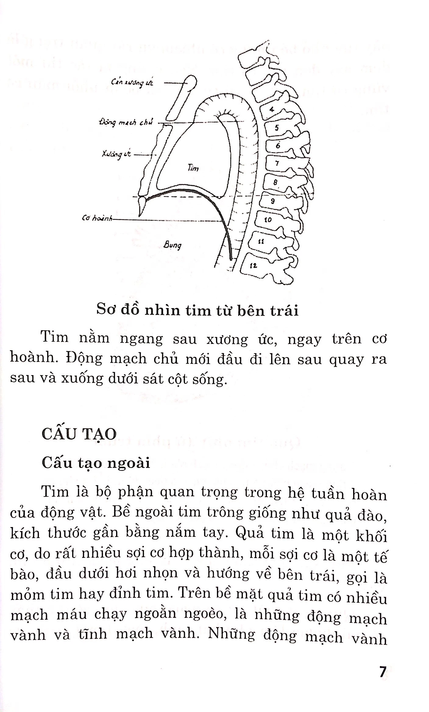 bệnh tim - chế độ dinh dưỡng và tập luyện - Ảnh 6