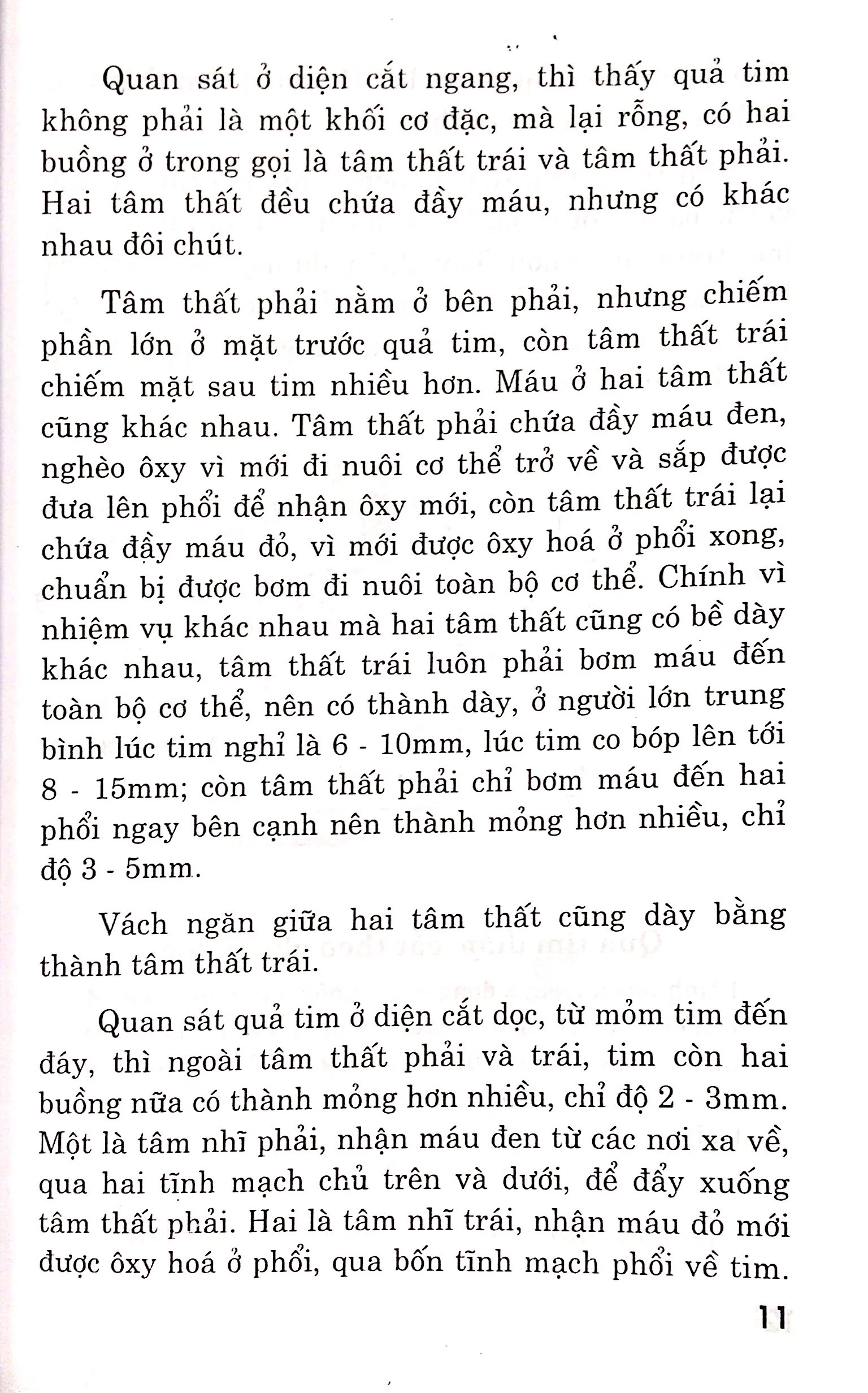 bệnh tim - chế độ dinh dưỡng và tập luyện - Ảnh 8
