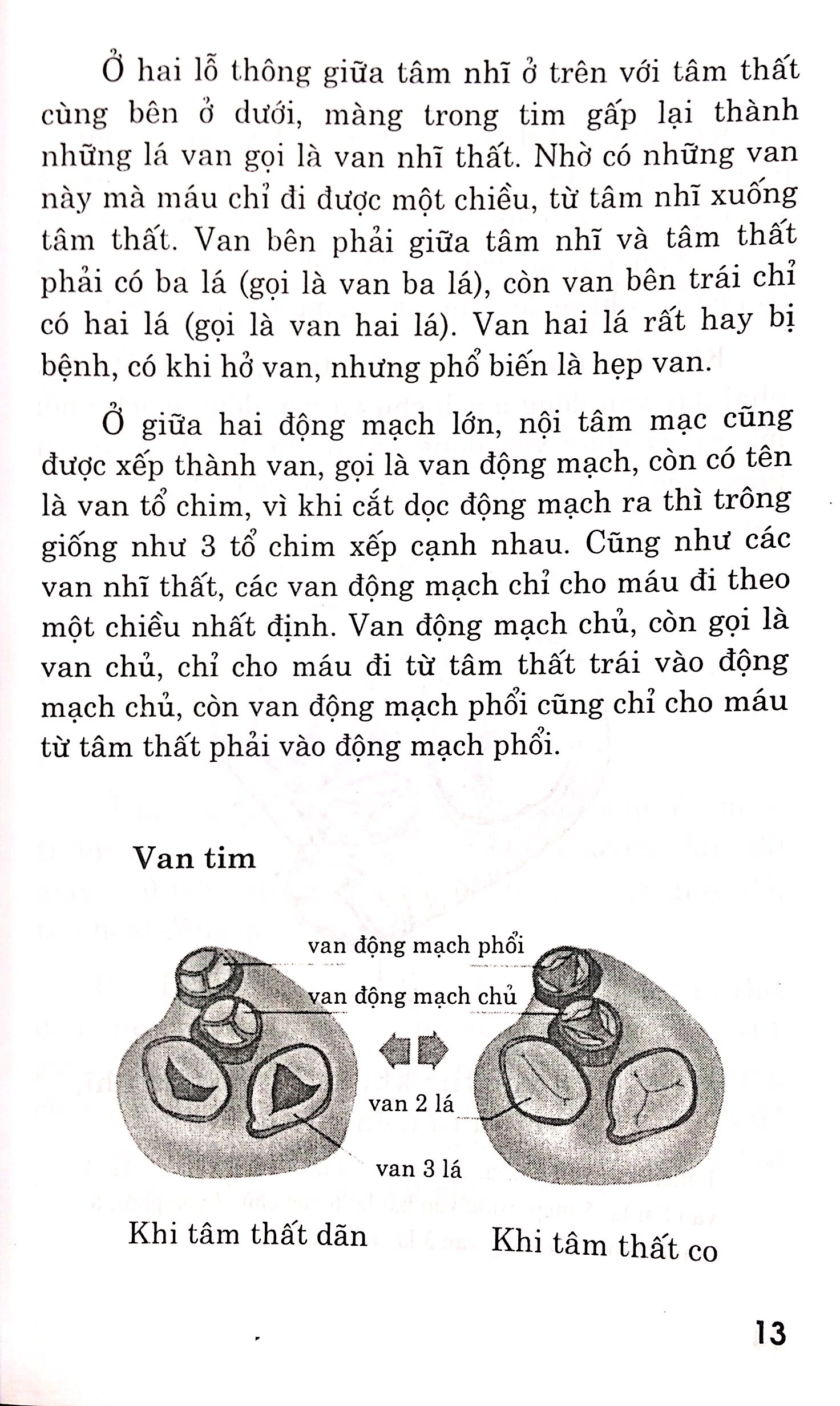 bệnh tim - chế độ dinh dưỡng và tập luyện - Ảnh 9