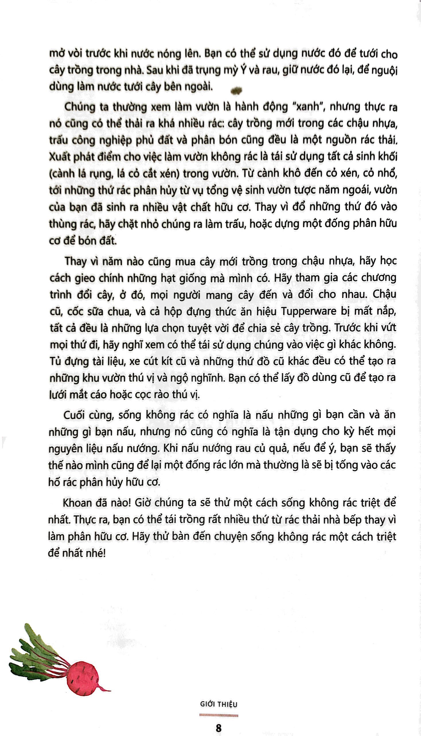 bếp không rác - tái sinh rau củ - Ảnh 6