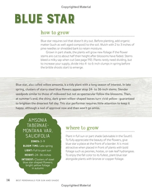 best perennials for sun and shade (home grown gardening) - Ảnh 13