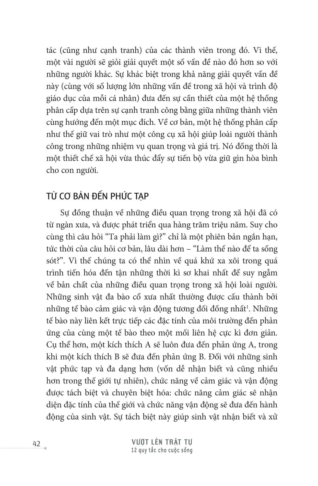 beyond order - vượt lên trật tự - Ảnh 16