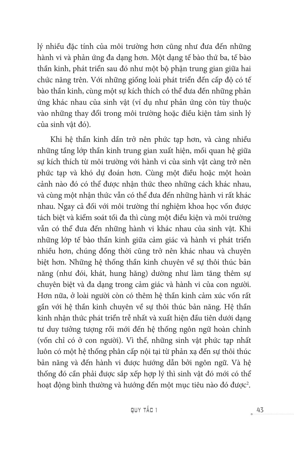 beyond order - vượt lên trật tự - Ảnh 17