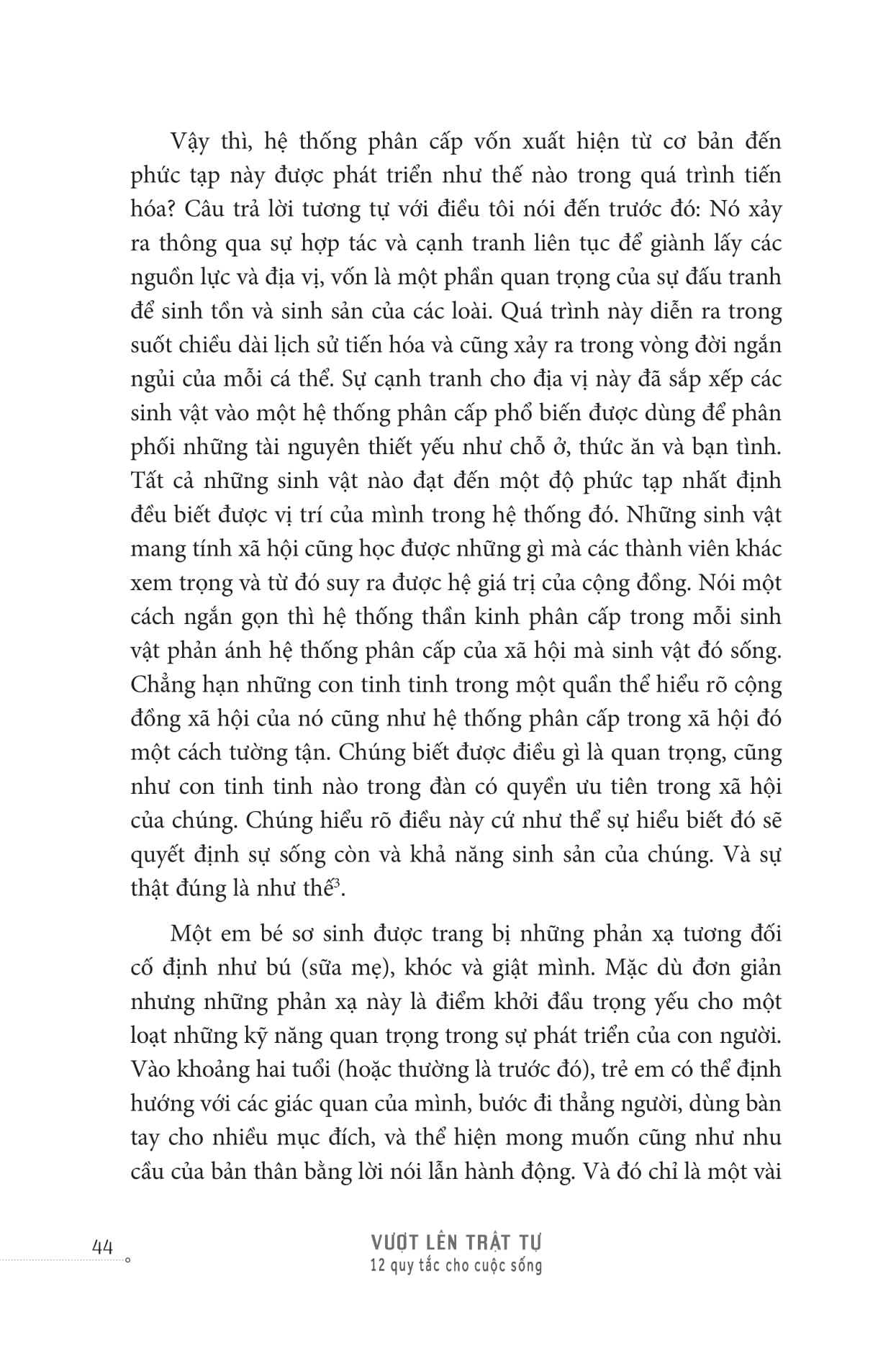 beyond order - vượt lên trật tự - Ảnh 18