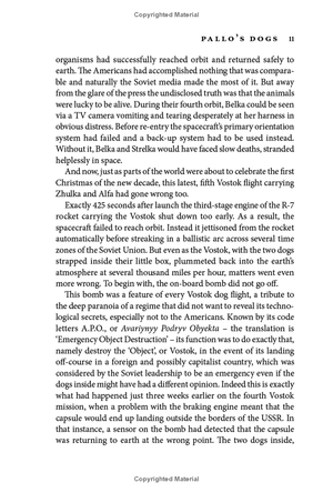 beyond: the astonishing story of the first human to leave our planet and journey into space - Ảnh 10