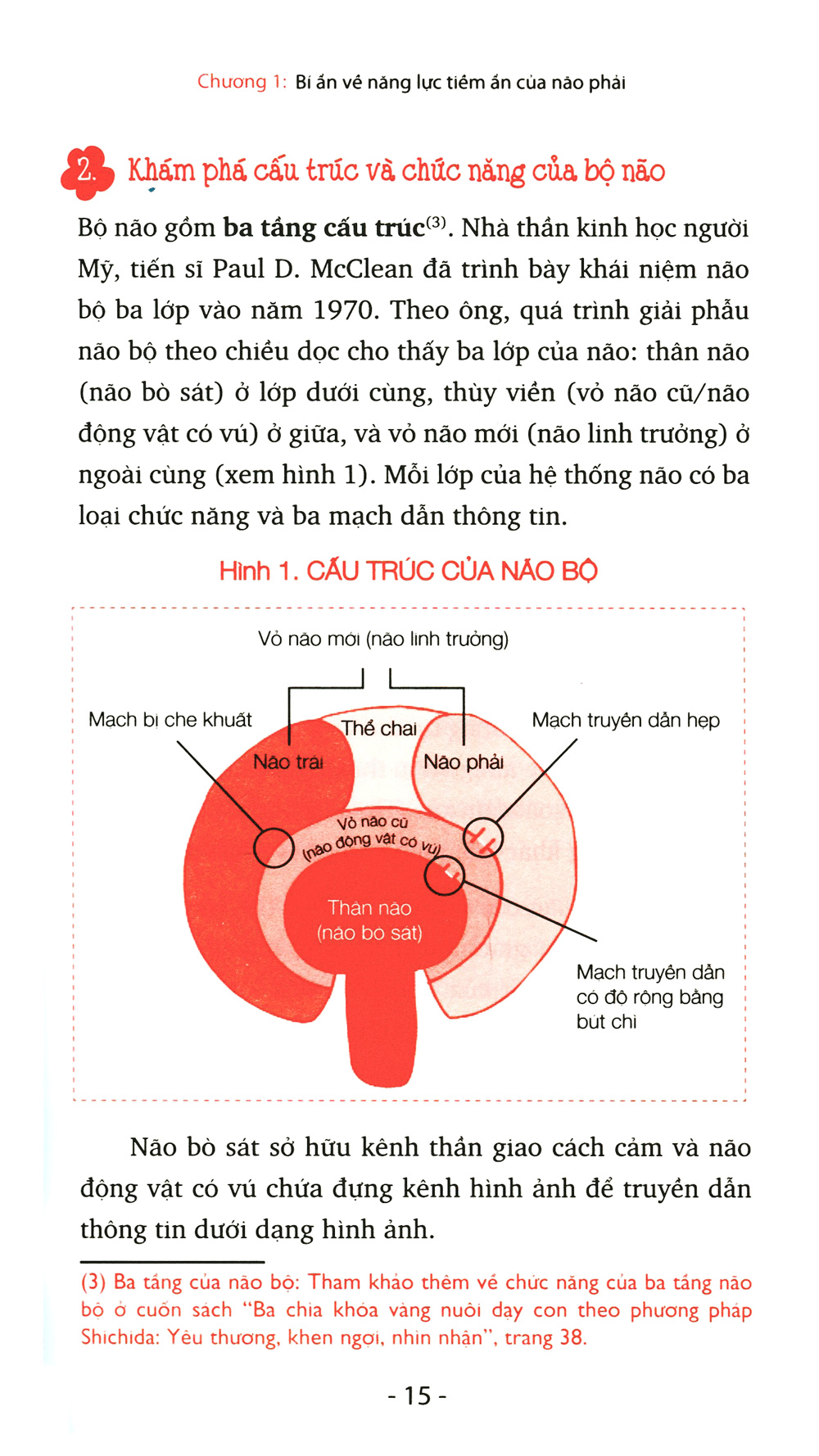 bí ẩn của não phải (tái bản 2022) - Ảnh 6