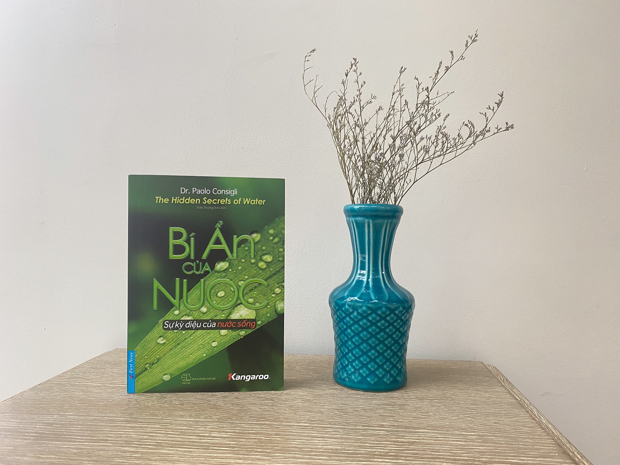 bí ẩn của nước - giải mã sự kỳ diệu của nước sống - the hidden secrets of water - Ảnh 9