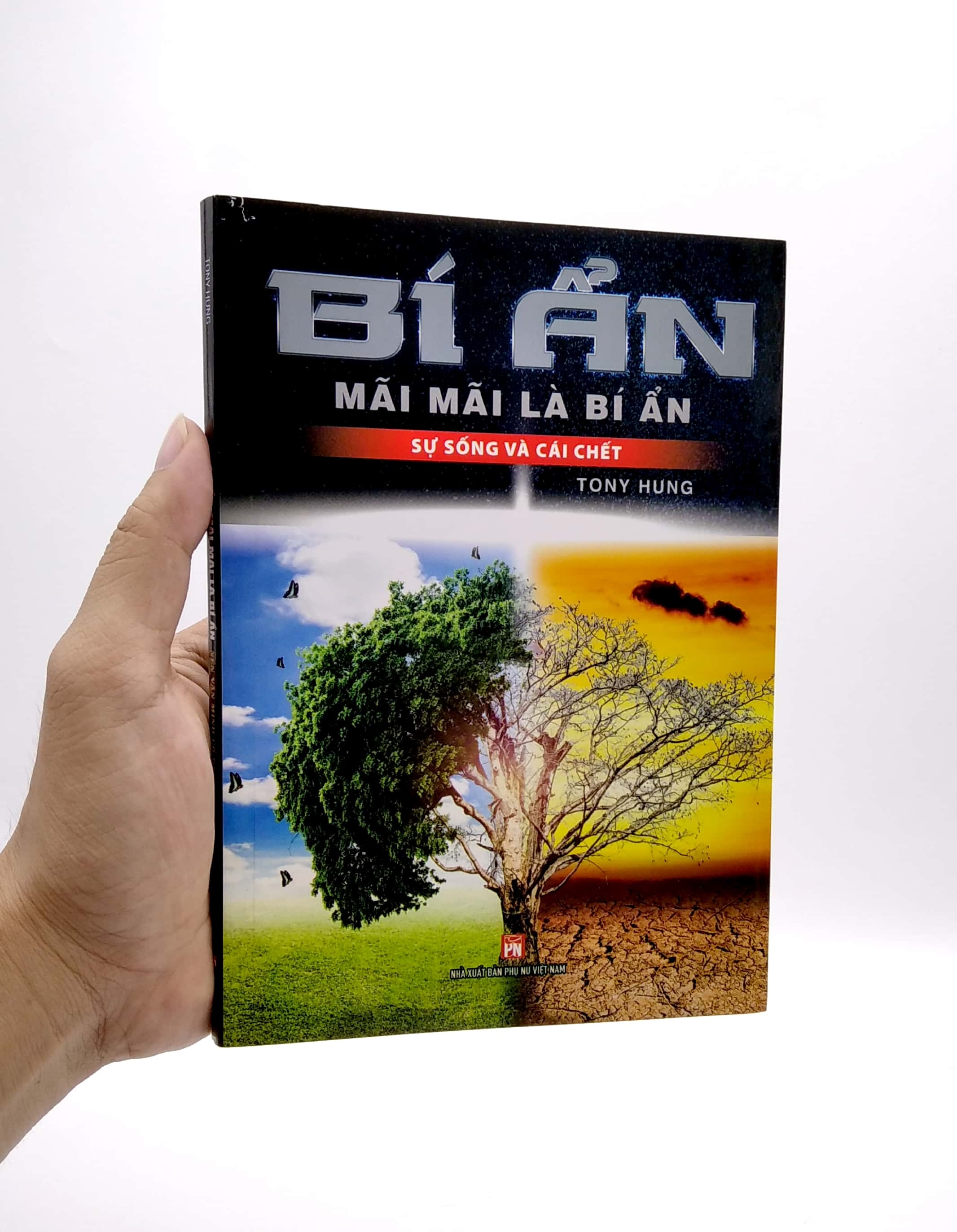 bí ẩn mãi mãi là bí ẩn - sự sống và cái chết - Ảnh 7