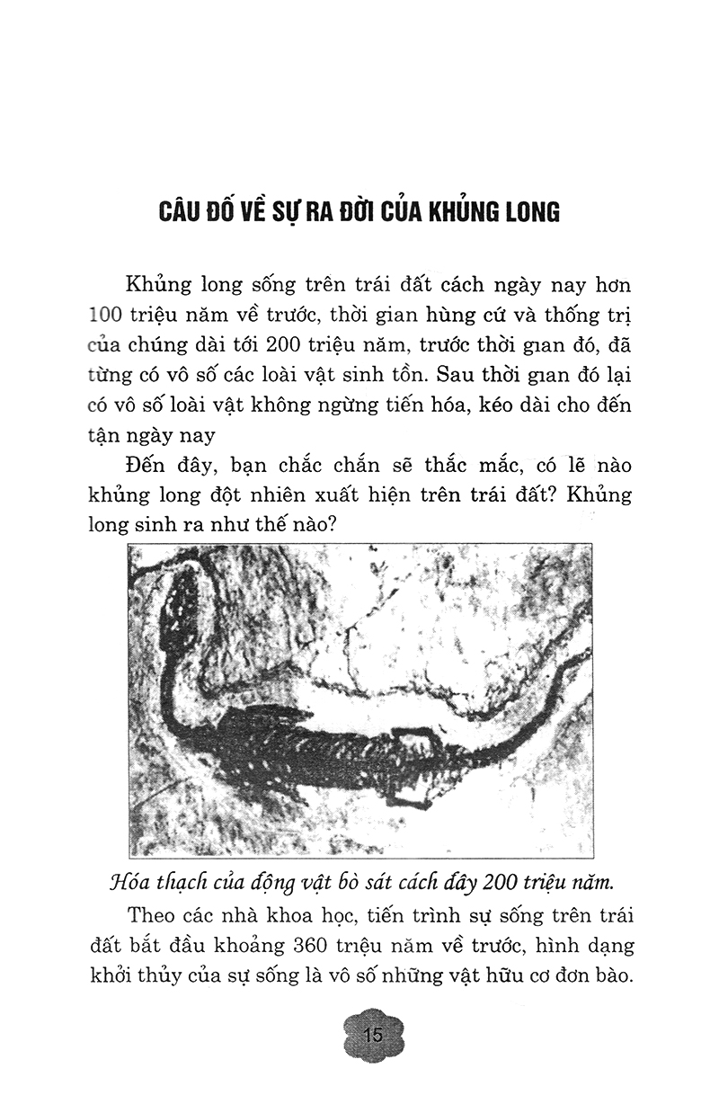 bí ẩn thế giới khủng long và những điều kỳ thú - Ảnh 13