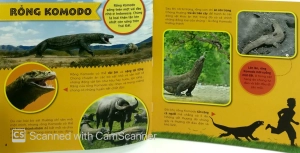 bí ẩn thế giới loài vật - bò sát & lưỡng cư (tái bản 2019) - Ảnh 3