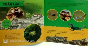 bí ẩn thế giới loài vật - bò sát & lưỡng cư (tái bản 2019) - Ảnh 4