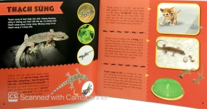 bí ẩn thế giới loài vật - bò sát & lưỡng cư (tái bản 2019) - Ảnh 5