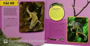 bí ẩn thế giới loài vật - bò sát & lưỡng cư (tái bản 2019) - Ảnh 6