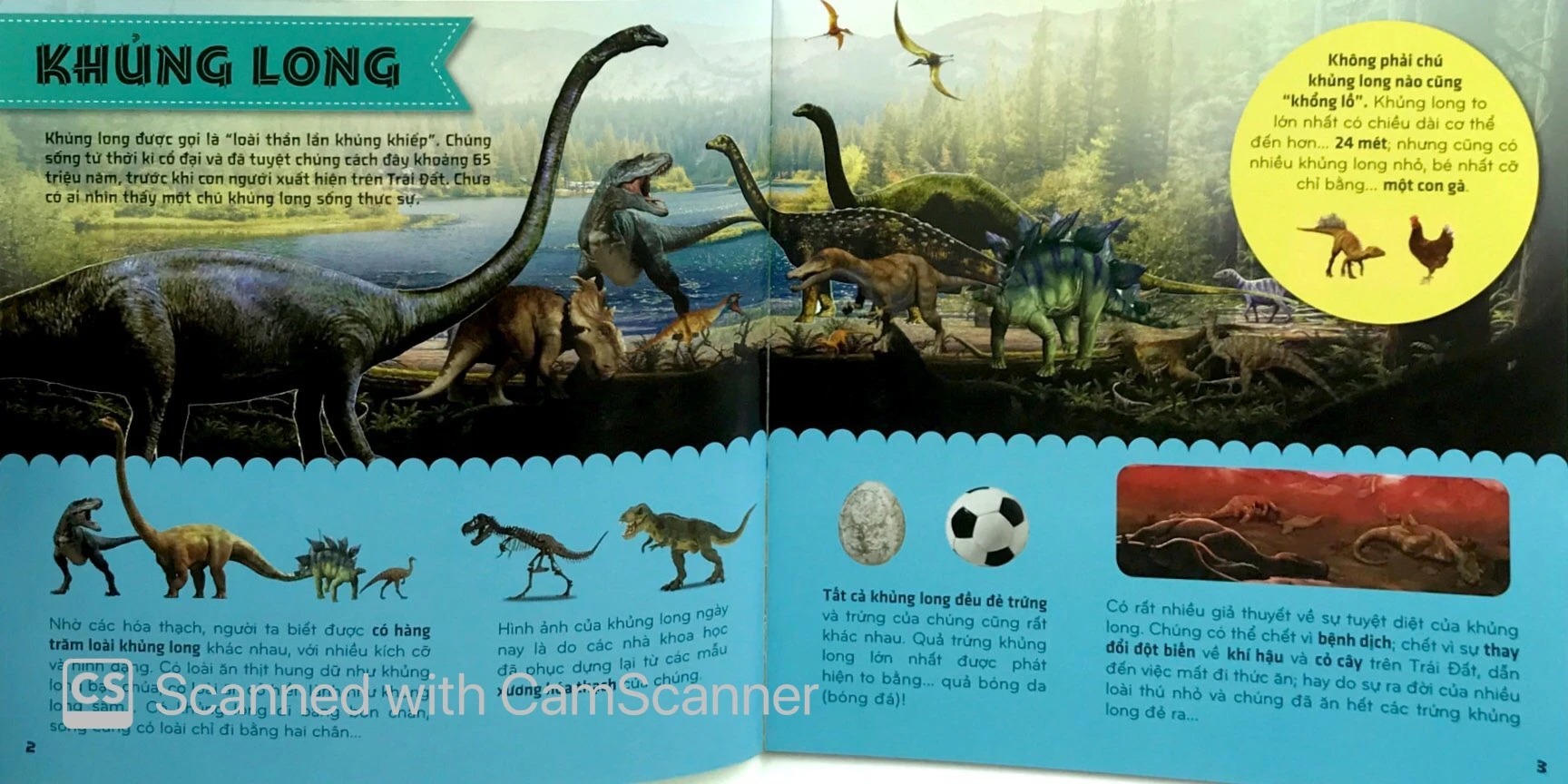 bí ẩn thế giới loài vật - bò sát và lưỡng cư (tái bản 2024) - Ảnh 3
