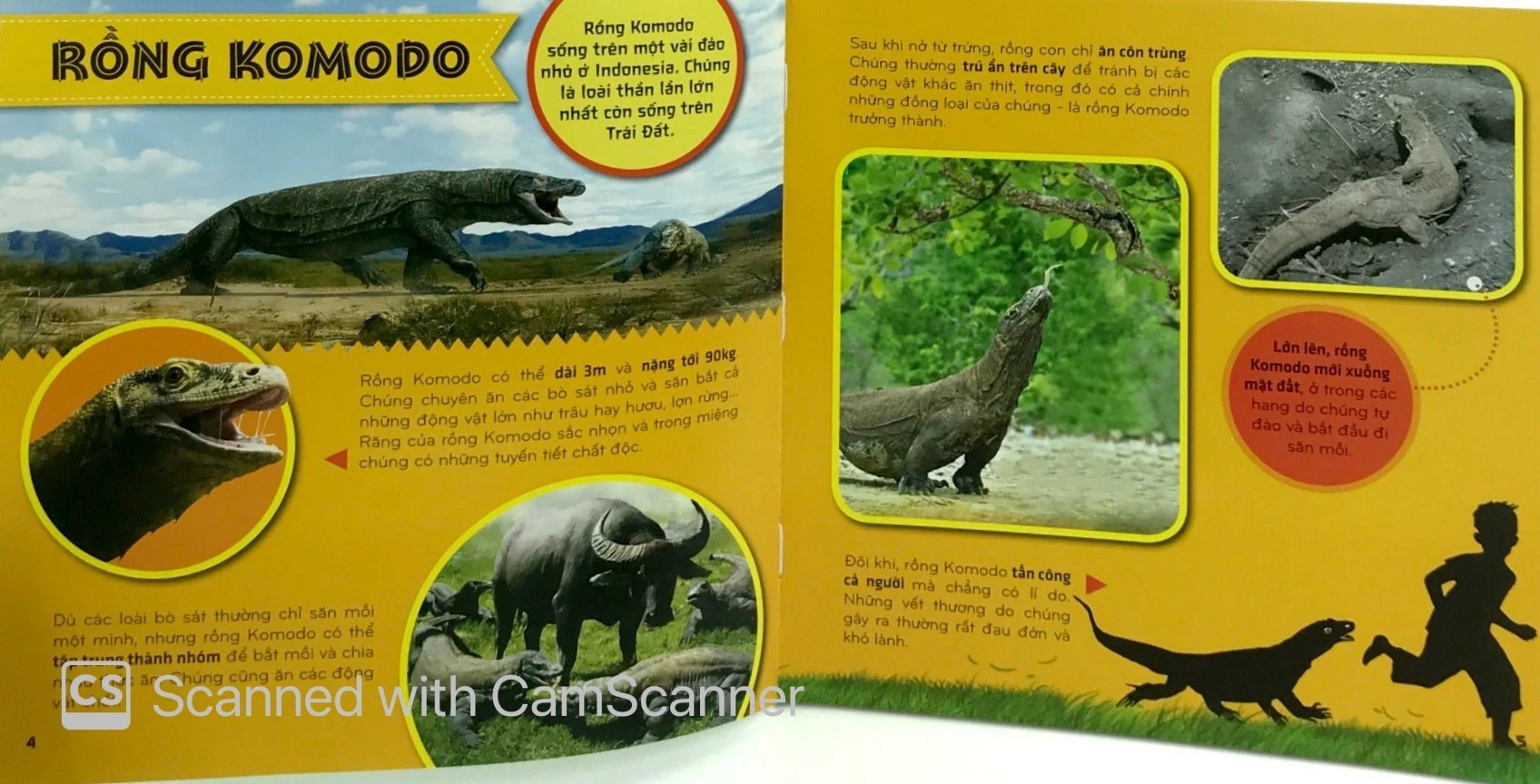 bí ẩn thế giới loài vật - bò sát và lưỡng cư (tái bản 2024) - Ảnh 4