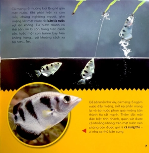 bí ẩn thế giới loài vật - cá - Ảnh 7