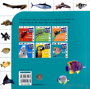 bí ẩn thế giới loài vật - cá - Ảnh 8