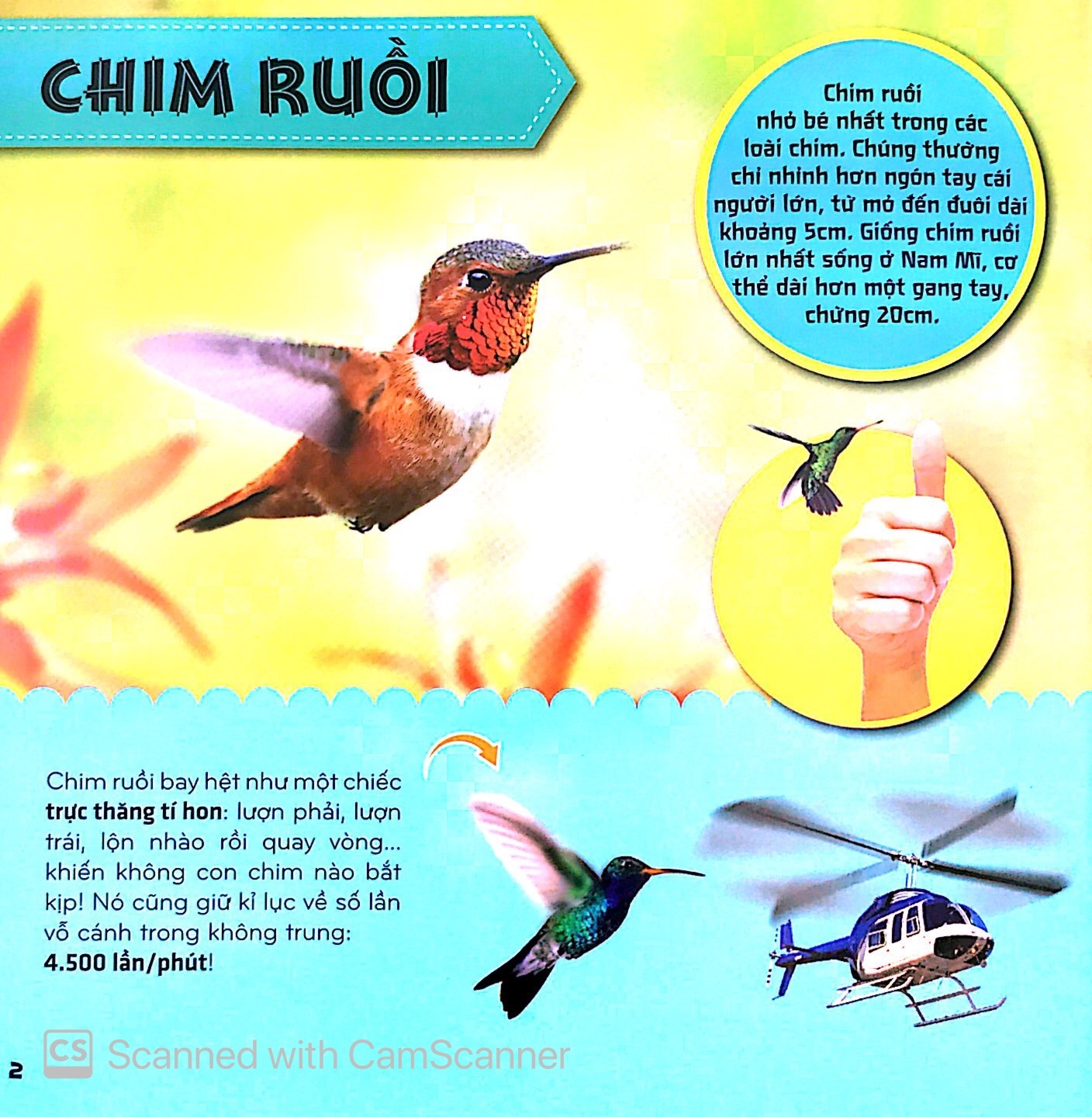 Bí Ẩn Thế Giới Loài Vật - Chim (Tái Bản 2025) - Ảnh 3