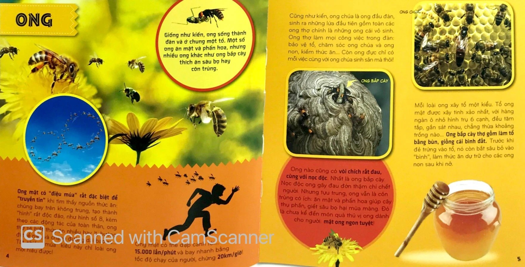 bí ẩn thế giới loài vật - côn trùng (tái bản 2024) - Ảnh 4