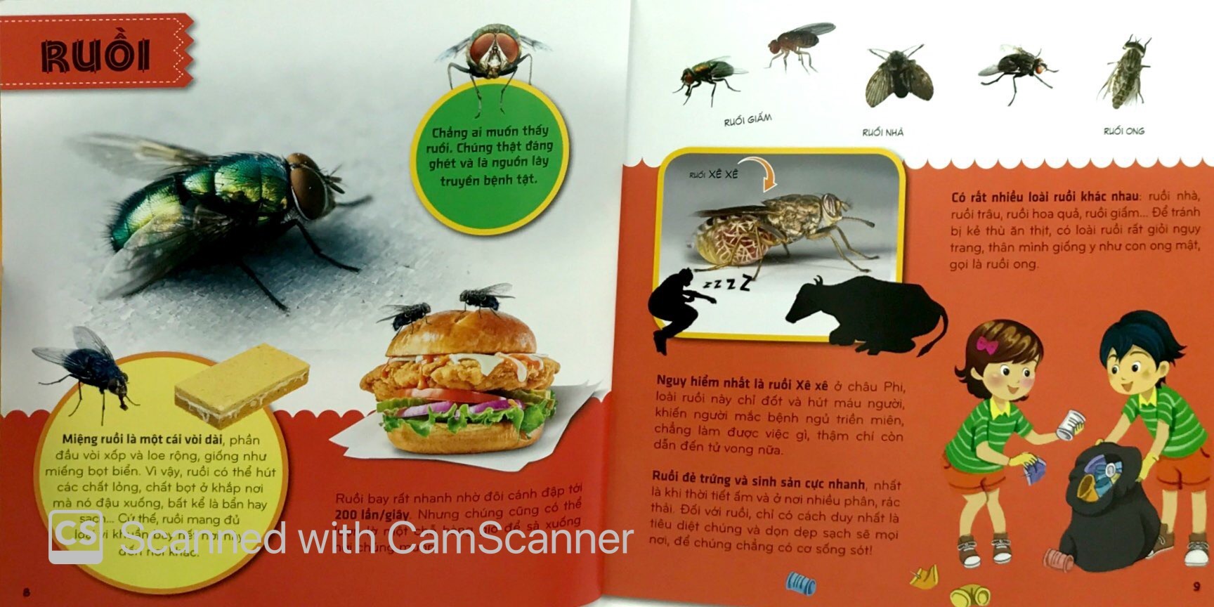 bí ẩn thế giới loài vật - côn trùng (tái bản 2024) - Ảnh 6