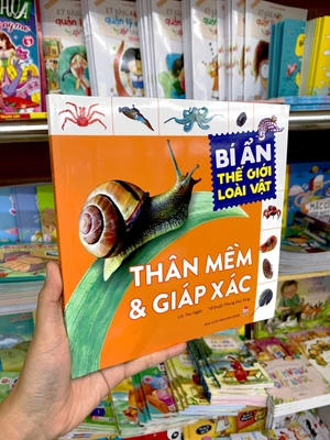 bí ẩn thế giới loài vật - thân mềm và giáp xác - Ảnh 8