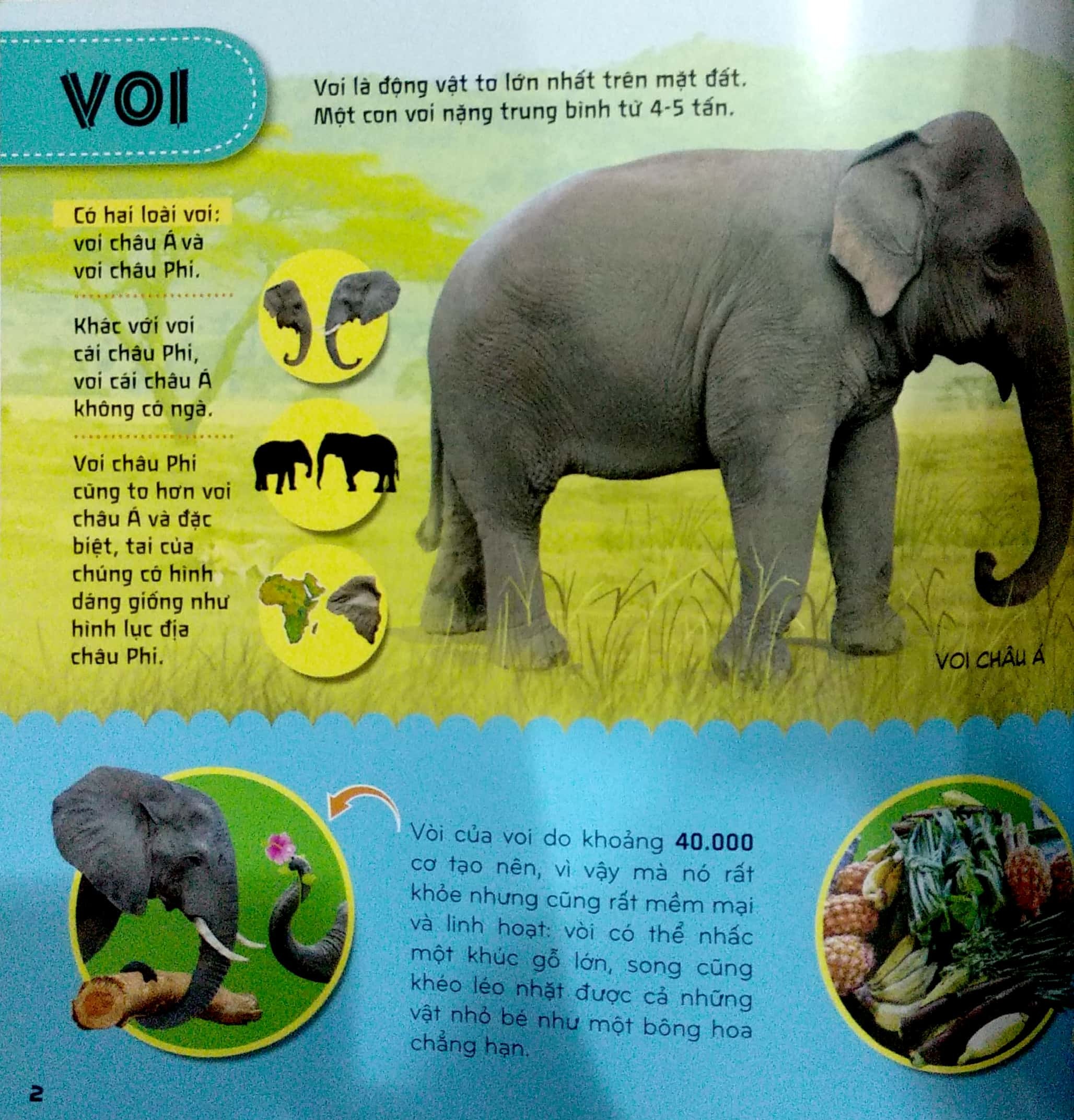 bí ẩn thế giới loài vật - thú (tái bản 2024) - Ảnh 3