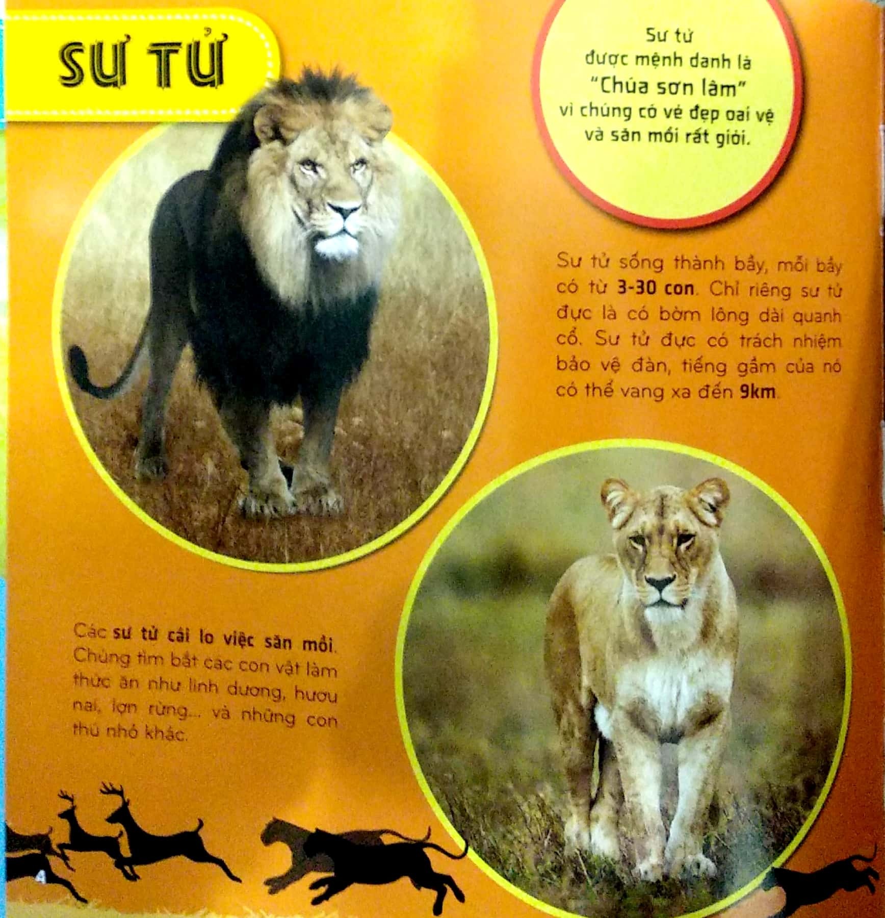 bí ẩn thế giới loài vật - thú (tái bản 2024) - Ảnh 5