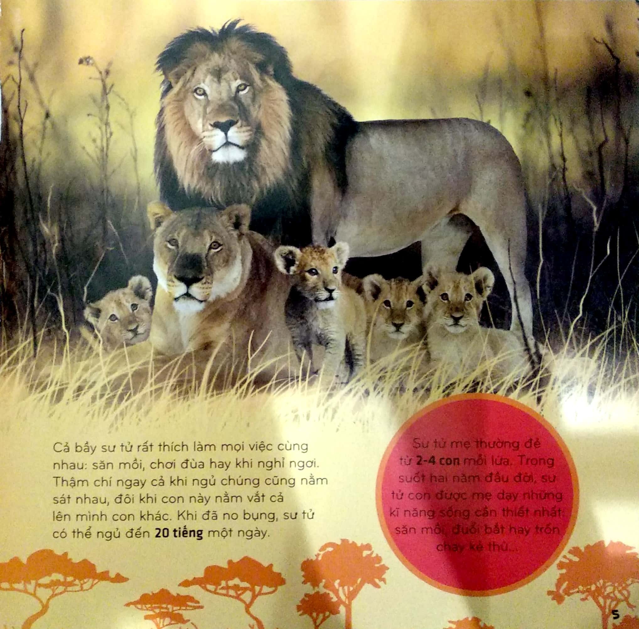 bí ẩn thế giới loài vật - thú (tái bản 2024) - Ảnh 6