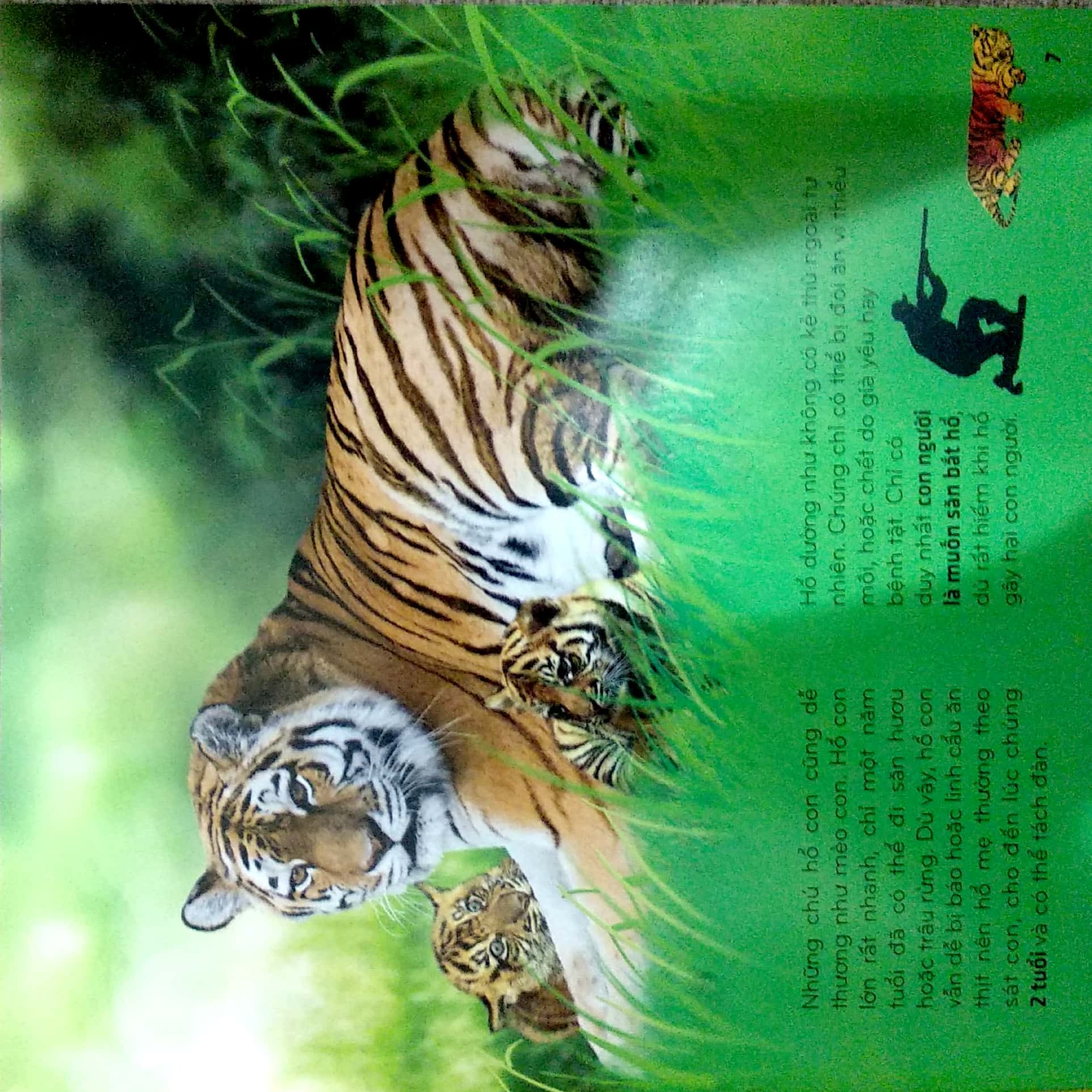 bí ẩn thế giới loài vật - thú (tái bản 2024) - Ảnh 8