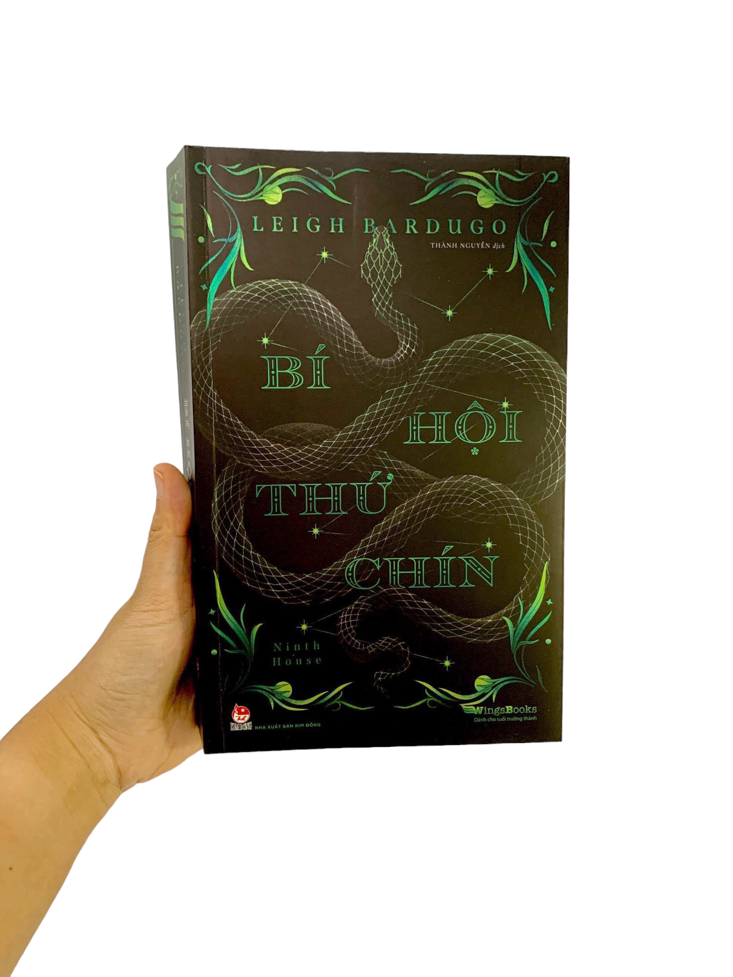 bí hội thứ chín - ninth house - Ảnh 9