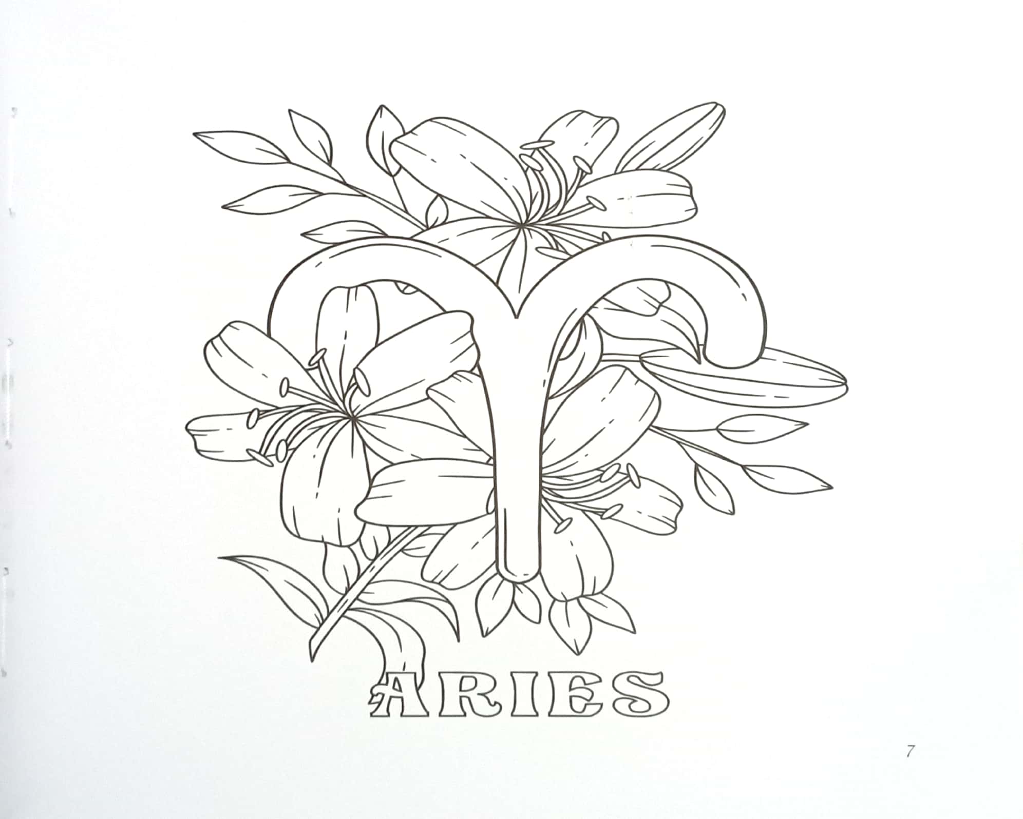 bí mật 12 cung hoàng đạo - Ảnh 5