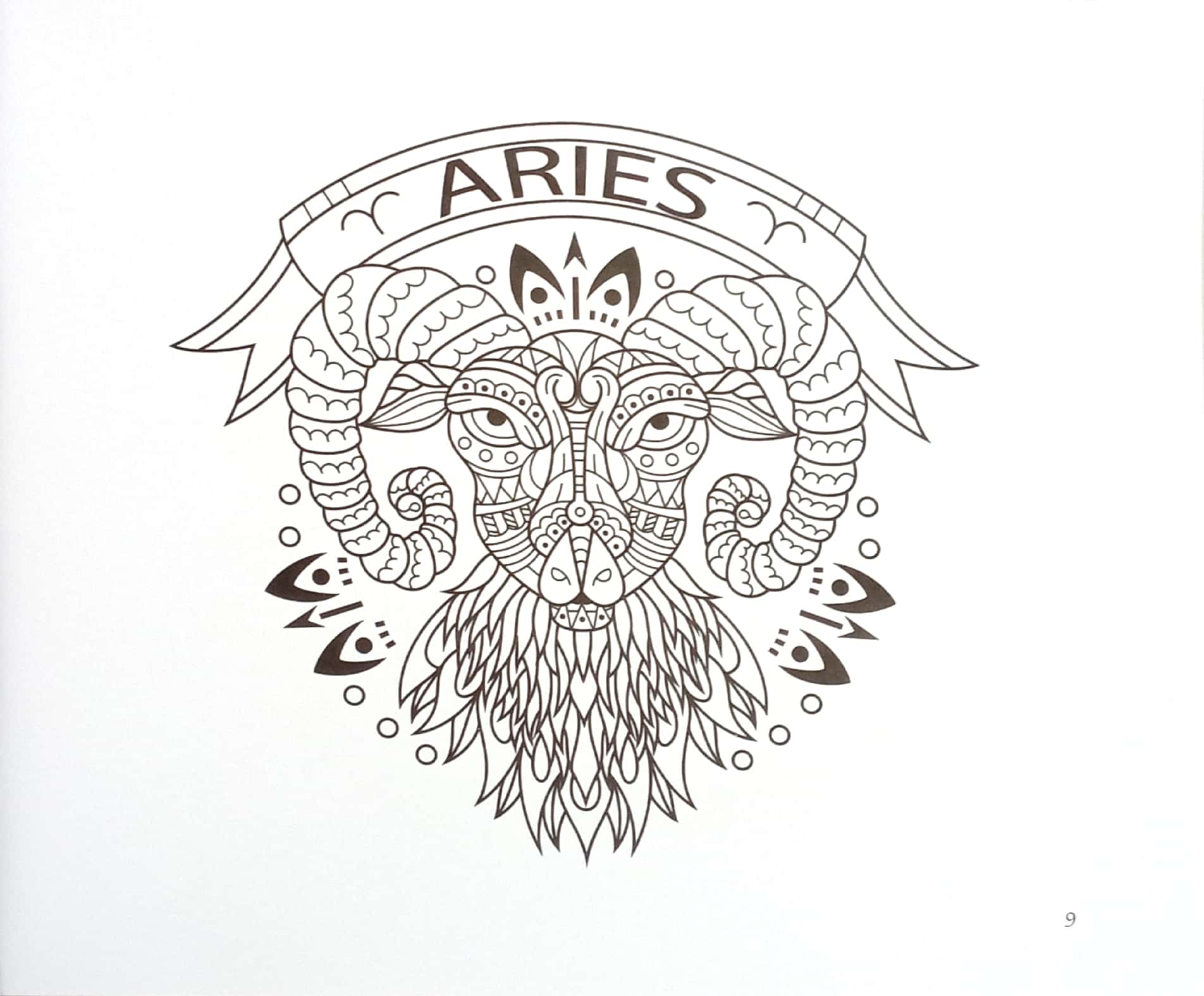 bí mật 12 cung hoàng đạo - Ảnh 7