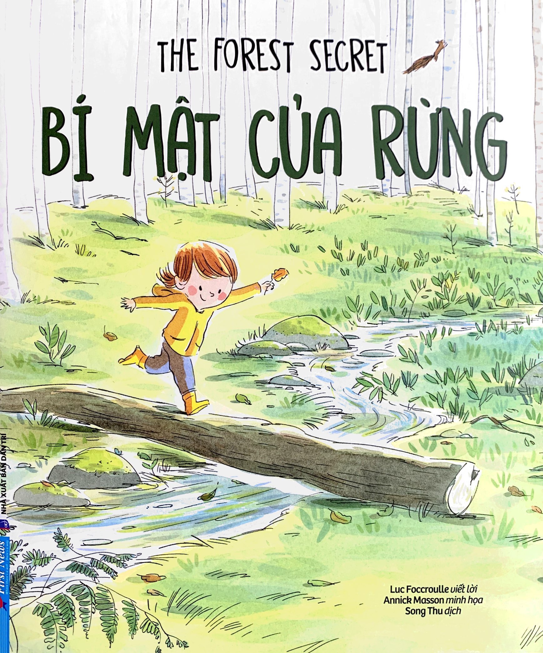 bí mật của rừng - the forest secret - Ảnh 2