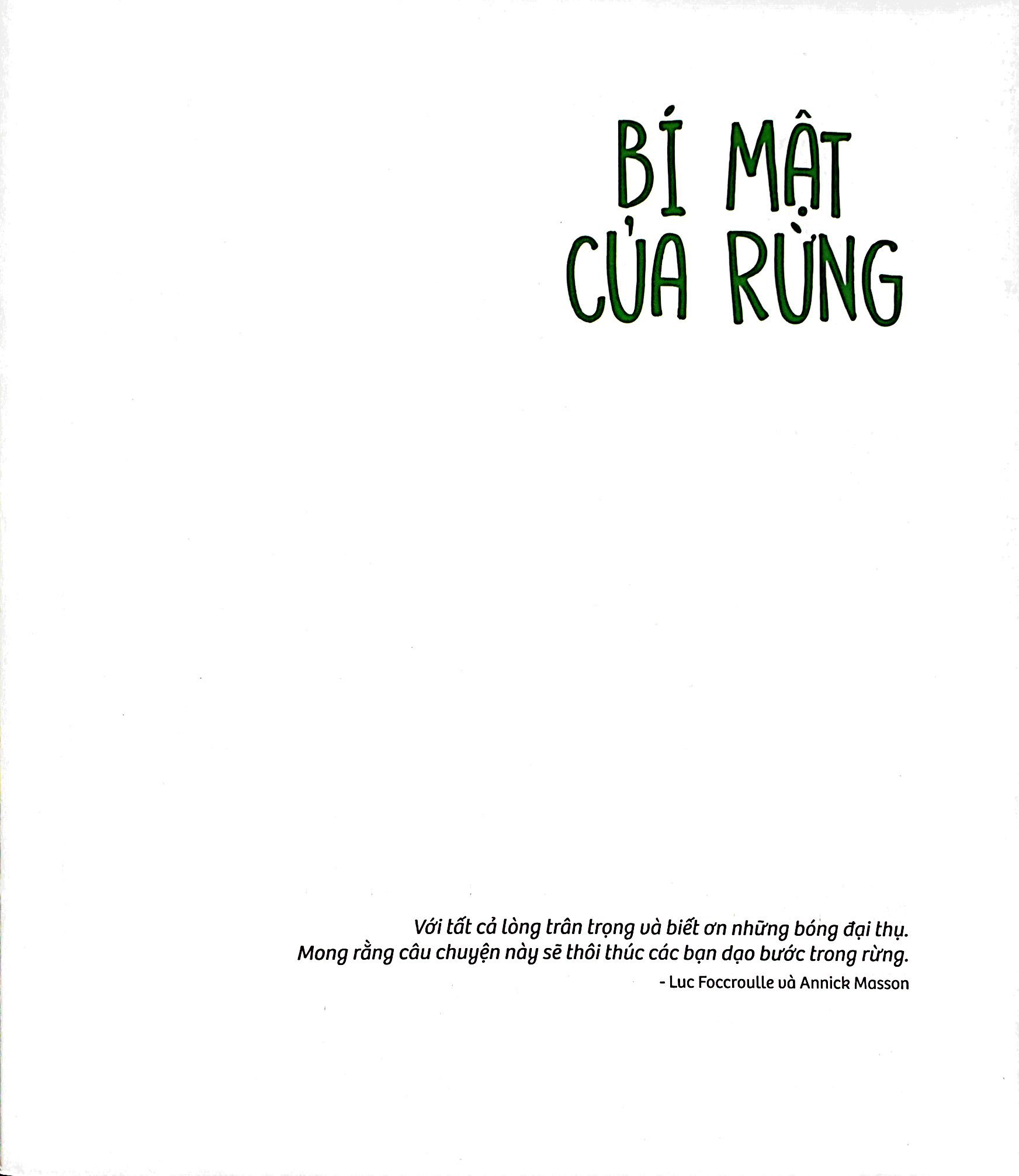 bí mật của rừng - the forest secret - Ảnh 3